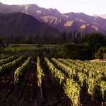 Autotour Argentine - Vignoble, Cafayate