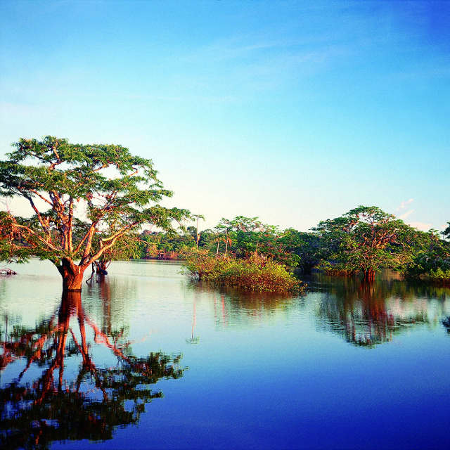 Amazonie - Voyage en Équateur
