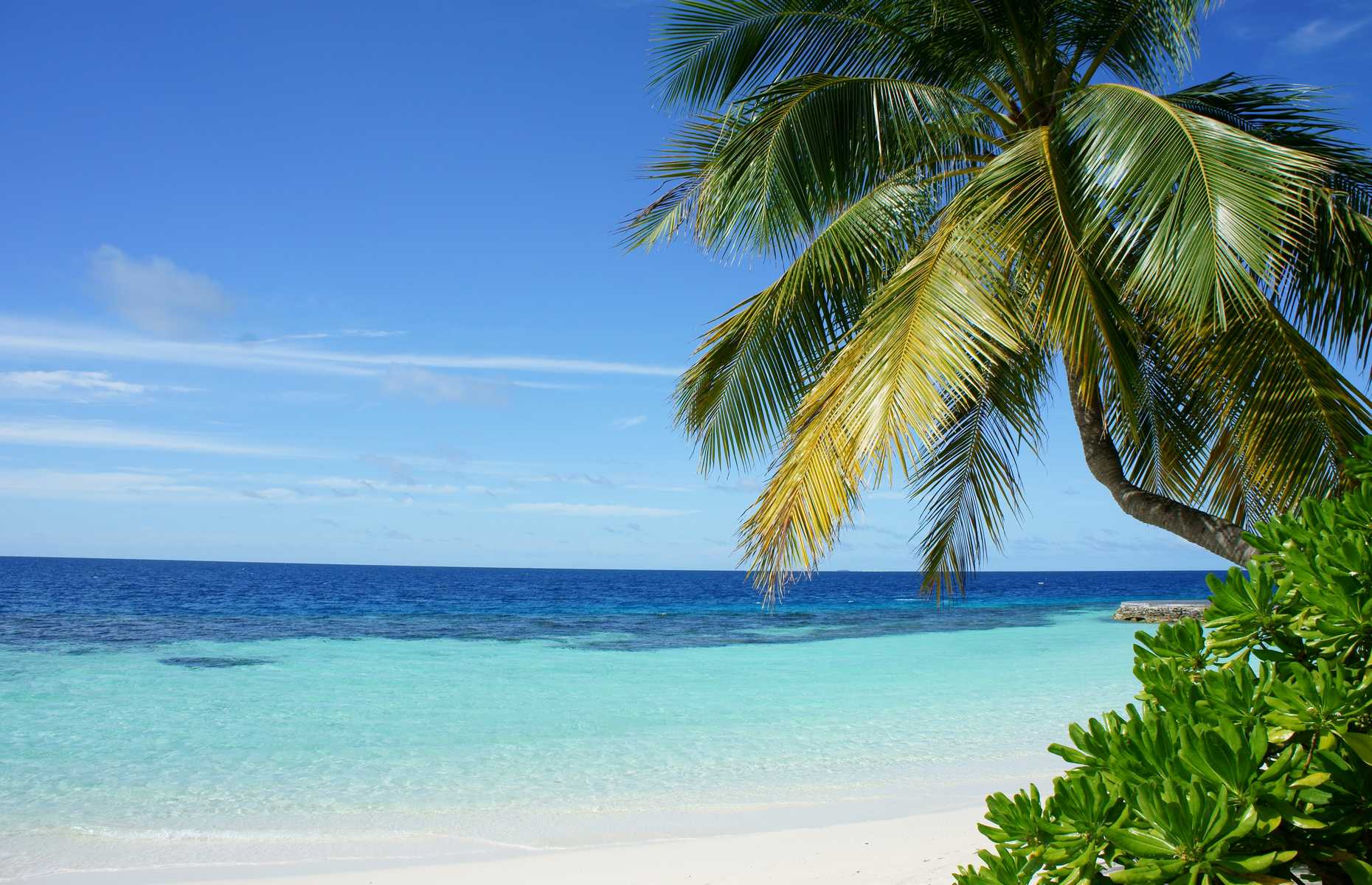 Plage le De Mucura Alma Latina